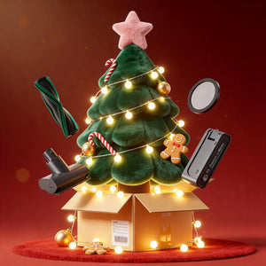 Accessory Mystery Box (Vacuum)